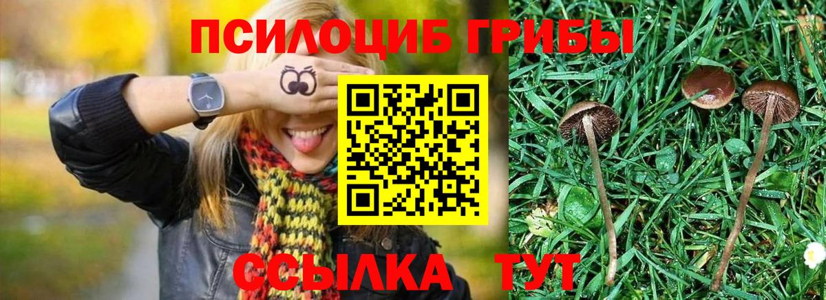 наркота  Вход с VPN  Краснокаменск  Псилоцибиновые грибы Psilocybine cubensis 